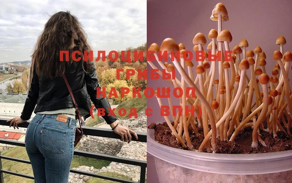 MDMA Premium VHQ Зерноград