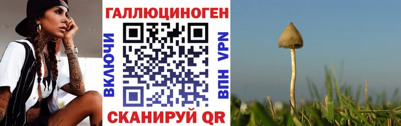 Купить Томмот Псилоцибиновые грибы Magic Shrooms